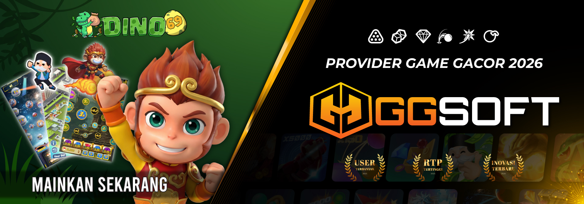 PROVIDER GGSOFT